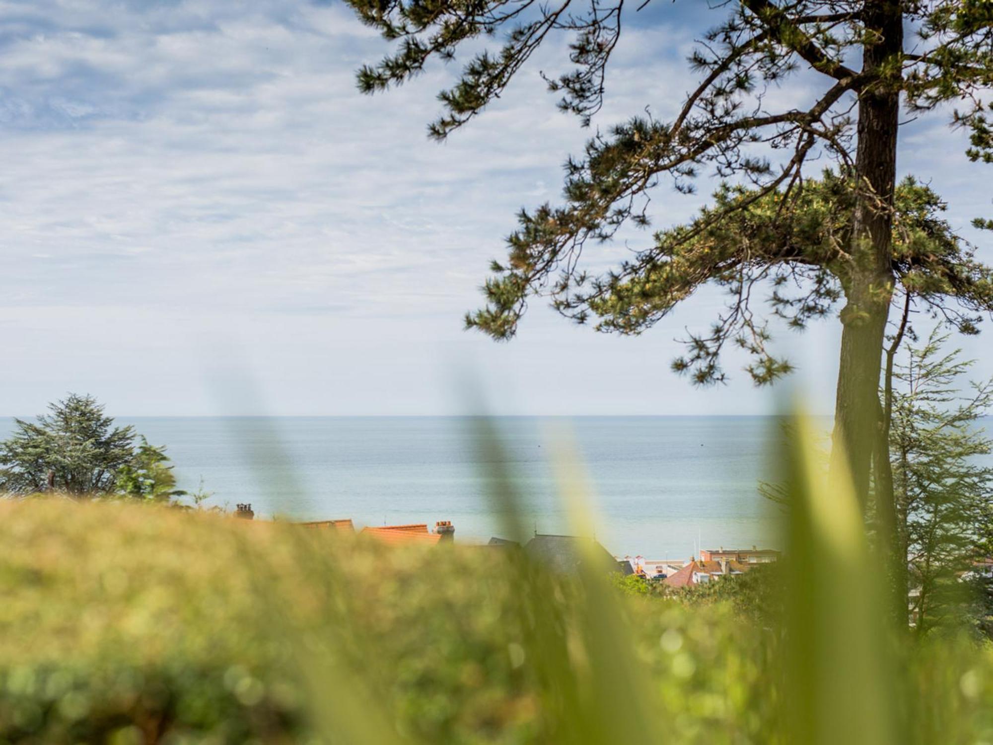 Le Carre Vue Mer Pourville-sur-Mer Exteriör bild